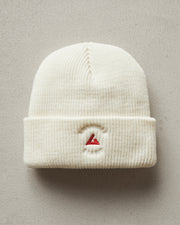 embroidered beanie